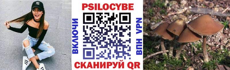 Галлюциногенные грибы мицелий  MEGA tor  Мыски 